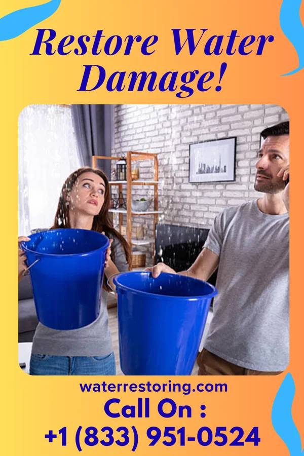 water restoration Eagle Extraction Contractors Rosemont