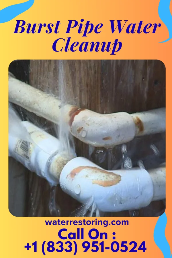 Burst Pipe Water Cleanup in Rosemont, PA