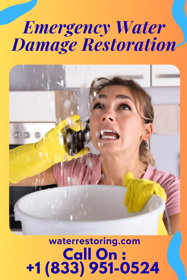 Emergency Water Damage Restoration in Rosemont, PA
