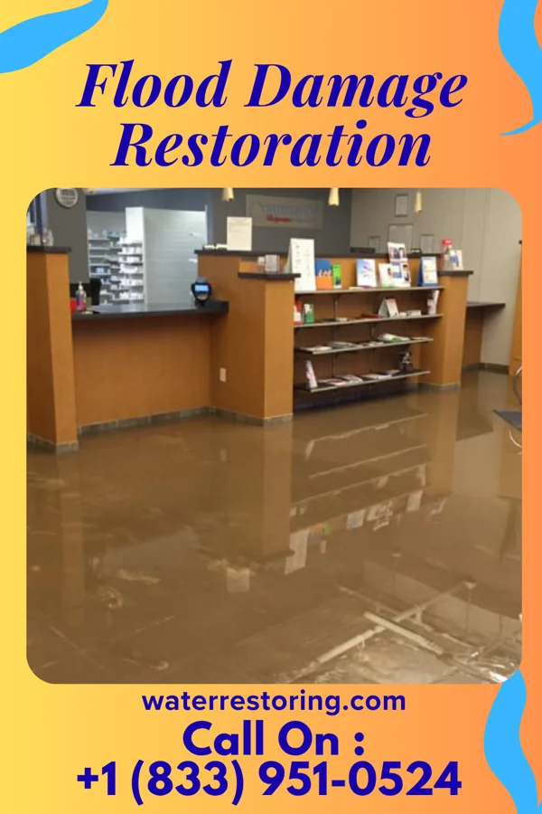 Flood Damage Restoration in Rosemont, PA