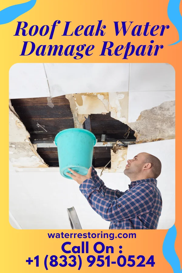 Roof Leak Water Damage Repair in Rosemont, PA