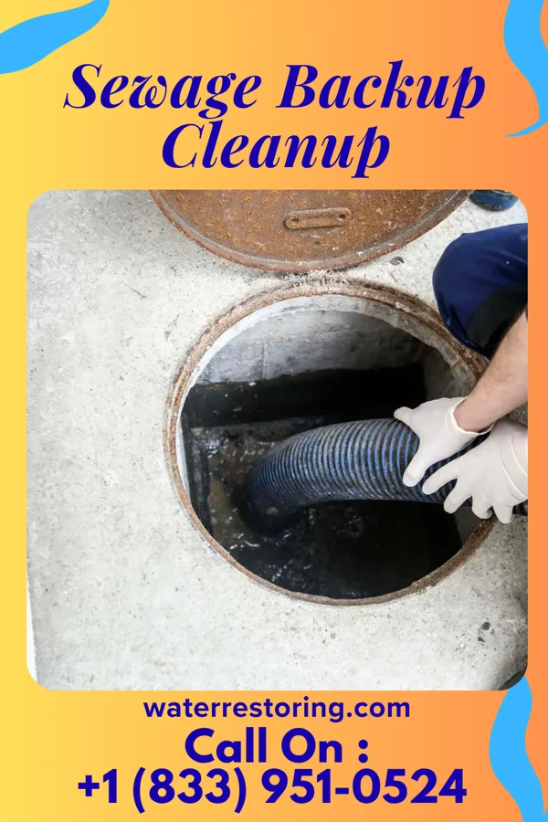 Sewage Backup Cleanup in Rosemont, PA