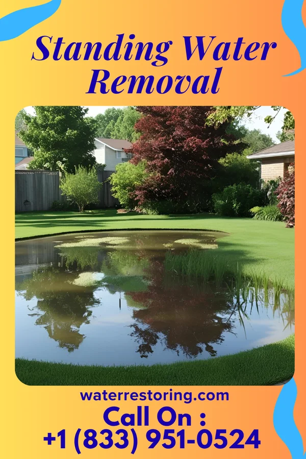 Standing Water Removal in Rosemont, PA